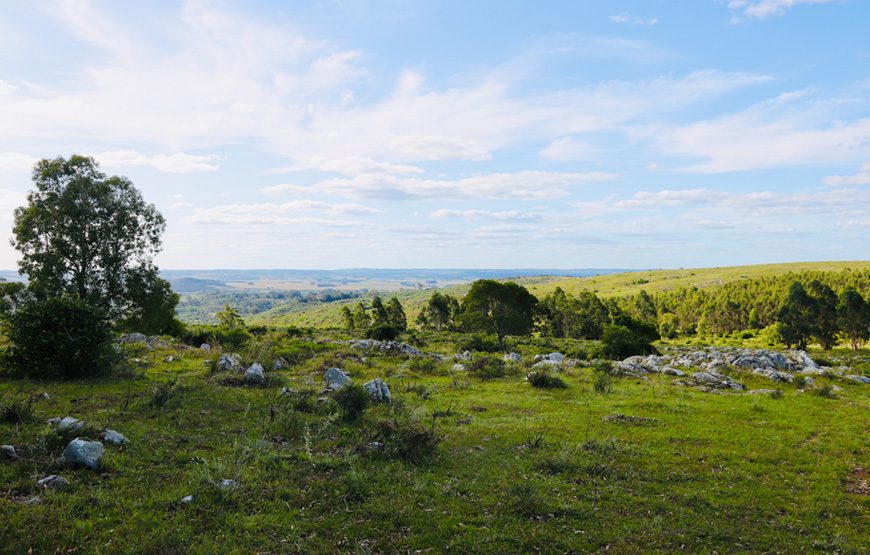 Cerro de La Leona