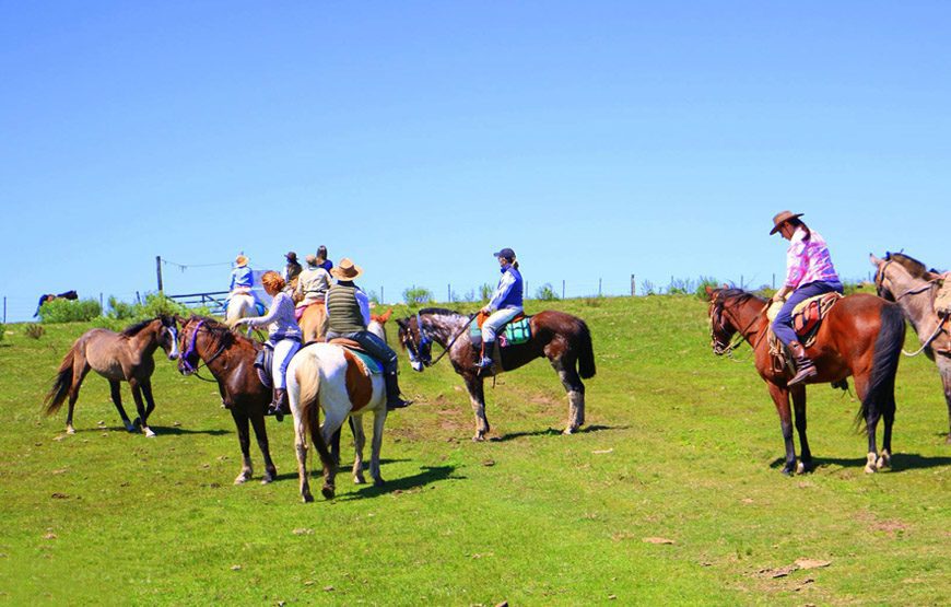 Santuario Equino