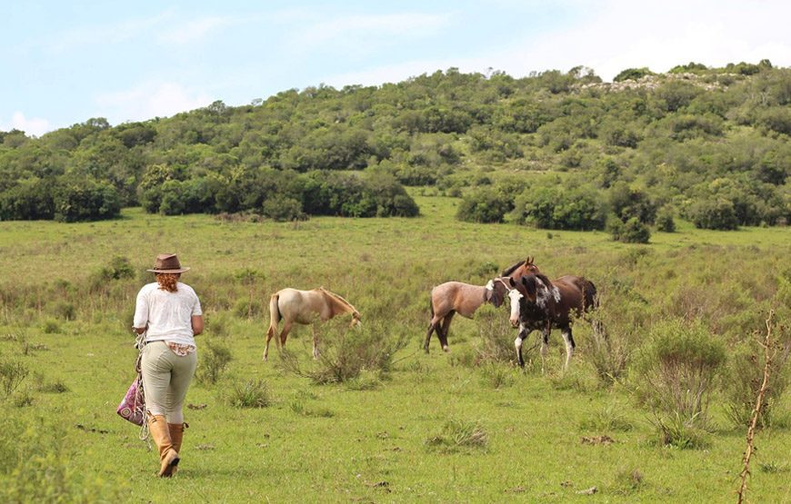 Valles del Toro