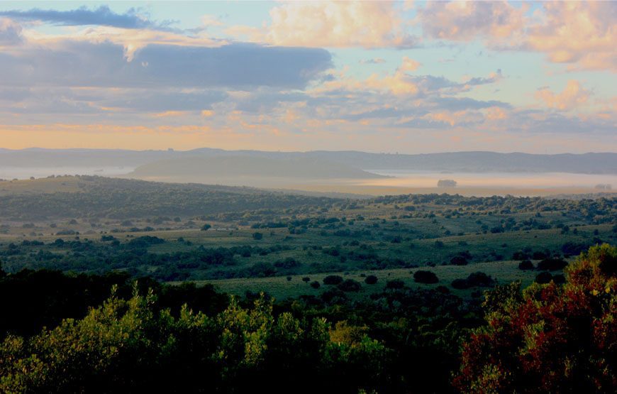 Visita al cerro Marmarajá – Reserva KYKYO