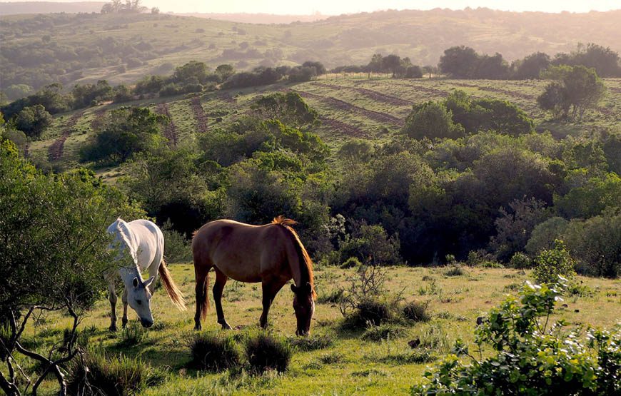 Visita al cerro Marmarajá – Reserva KYKYO