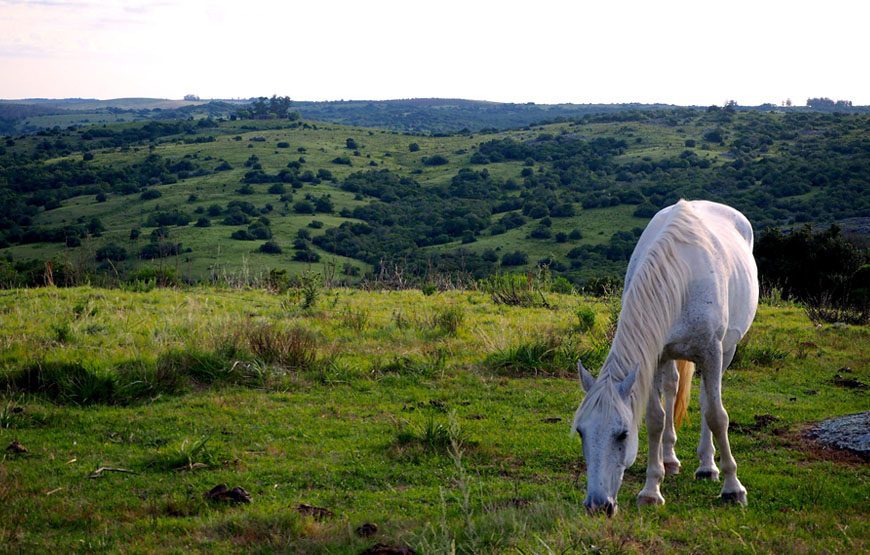 Visita al cerro Marmarajá – Reserva KYKYO