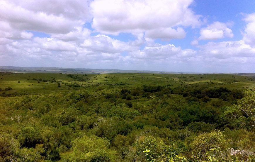 Visita al cerro Marmarajá – Reserva KYKYO